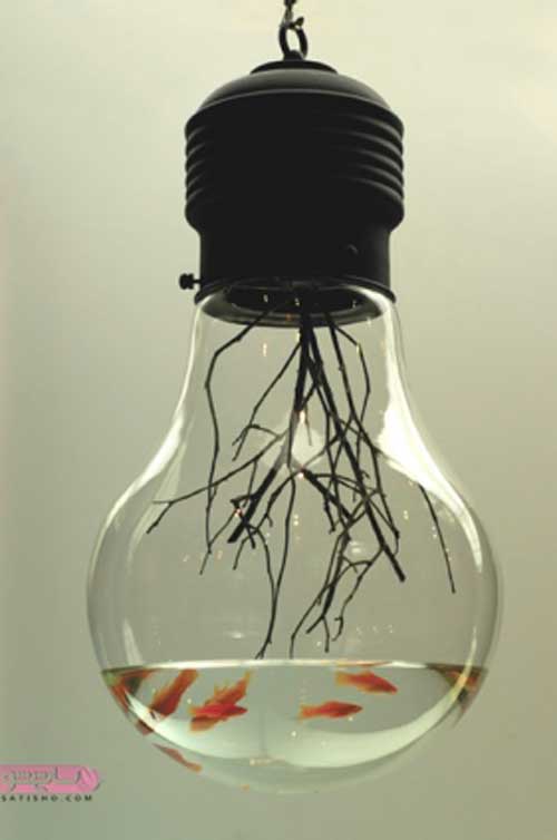 تنگ ماهی درون لامپ شیشه ای