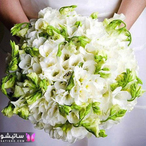 عکس از جدیدترین دسته گل عروس